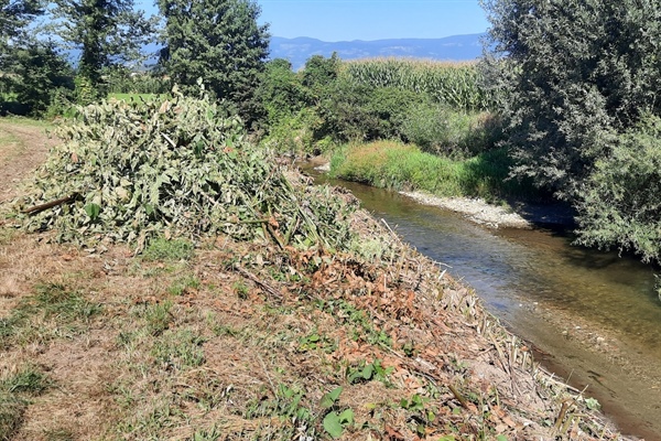 Obvestilo Direkcije RS za vode lastnikom zemljišč ob vodotokih glede odstranjevanje odvečne zarasti